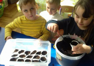 Dzieci przygotowują sadzonki