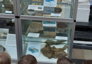 Wycieczka do Muzeum Instytutu Geologicznego