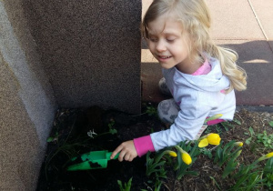 Dzieci sadzą wiosenne kwiaty.