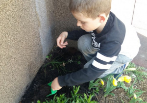 Dzieci sadzą wiosenne kwiaty.